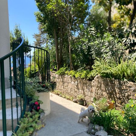 Apartments Milicevic Herceg Novi Dış mekan fotoğraf