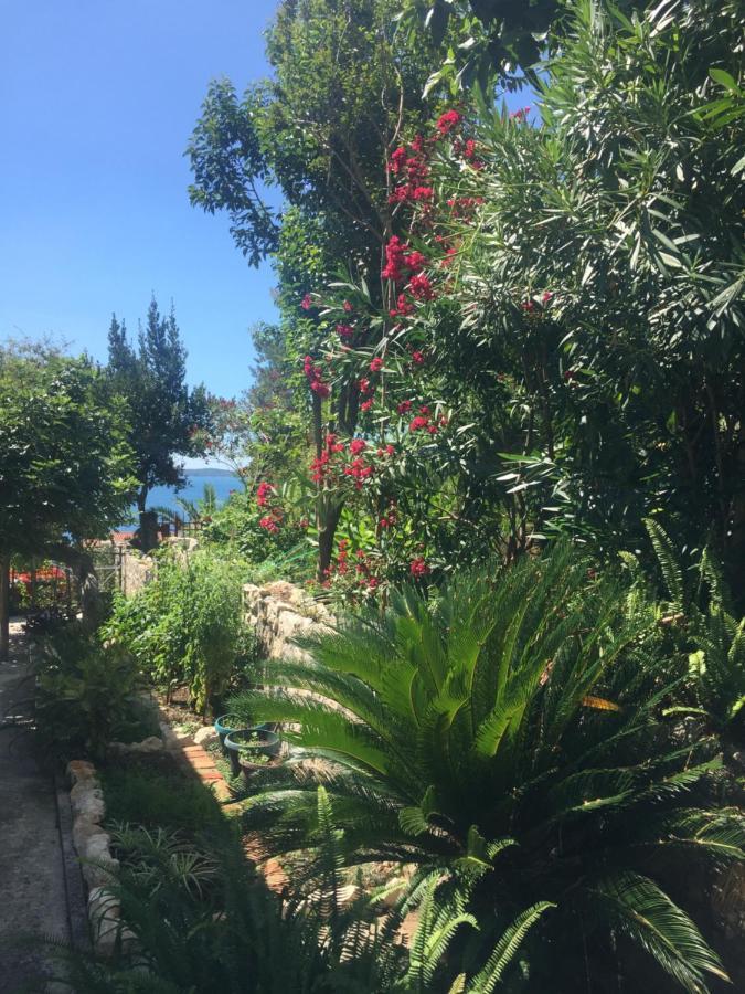 Apartments Milicevic Herceg Novi Dış mekan fotoğraf
