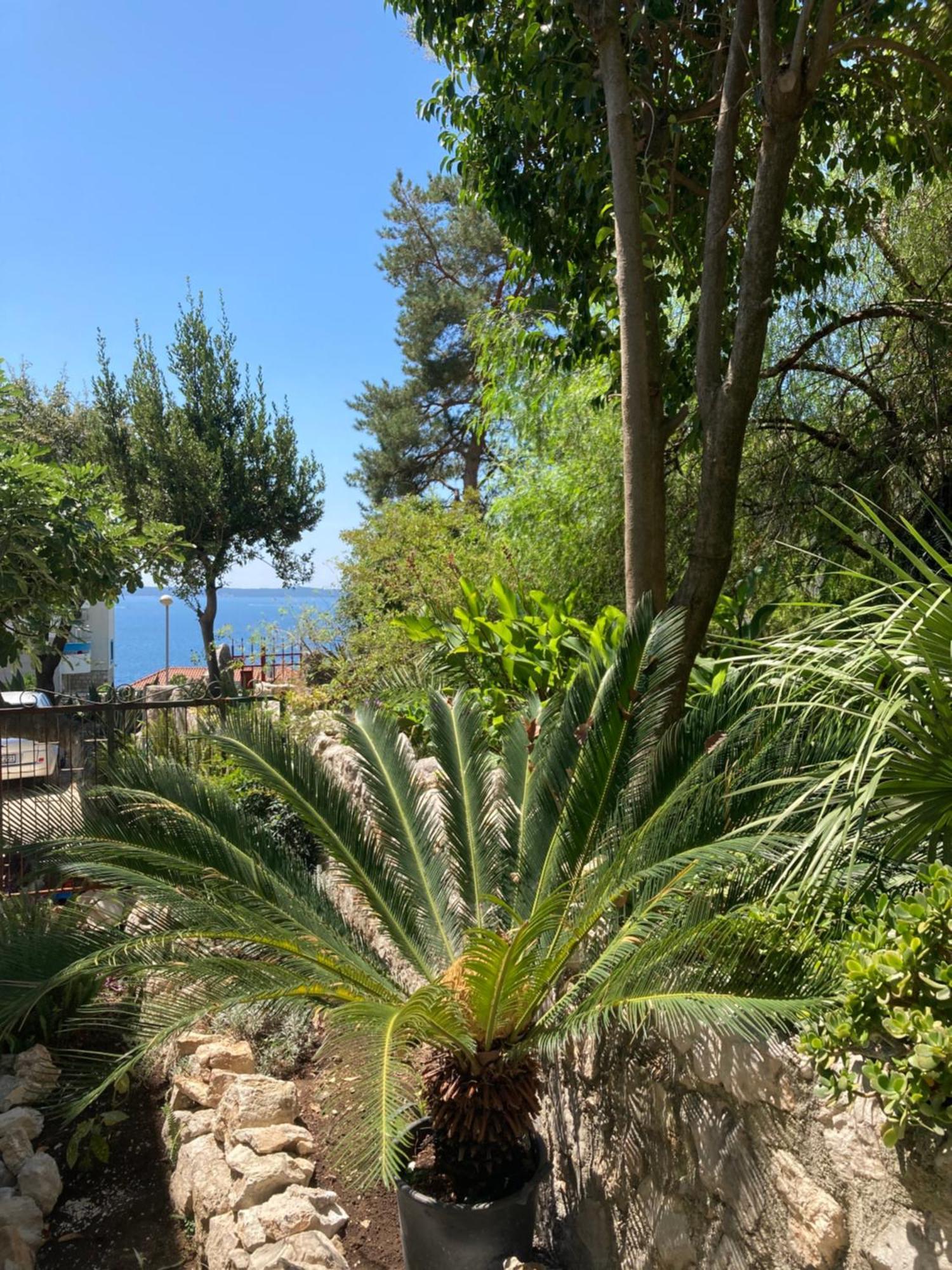 Apartments Milicevic Herceg Novi Dış mekan fotoğraf