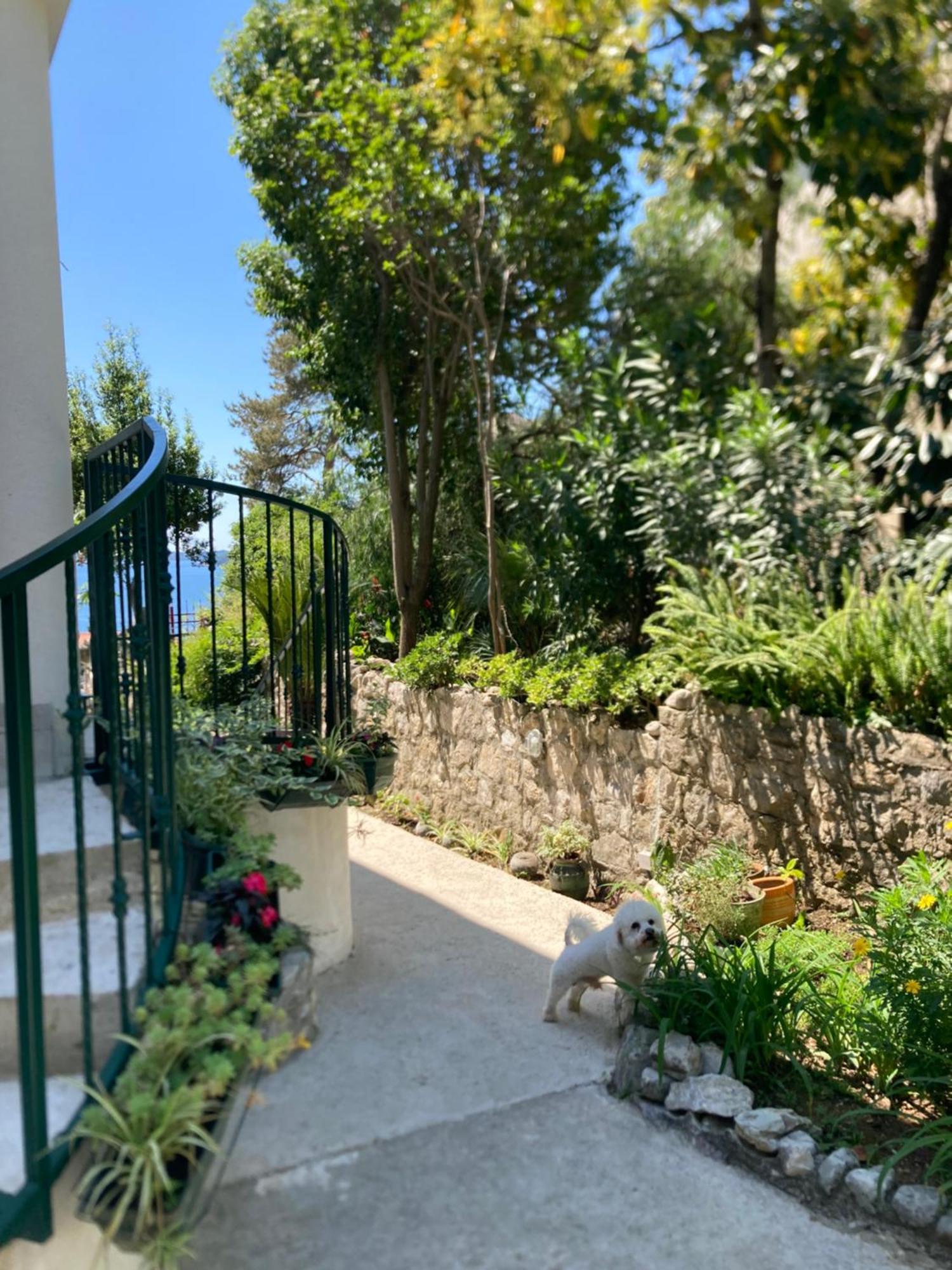 Apartments Milicevic Herceg Novi Dış mekan fotoğraf