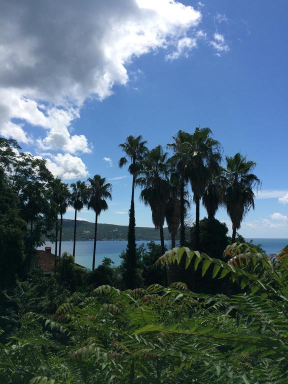 Apartments Milicevic Herceg Novi Dış mekan fotoğraf
