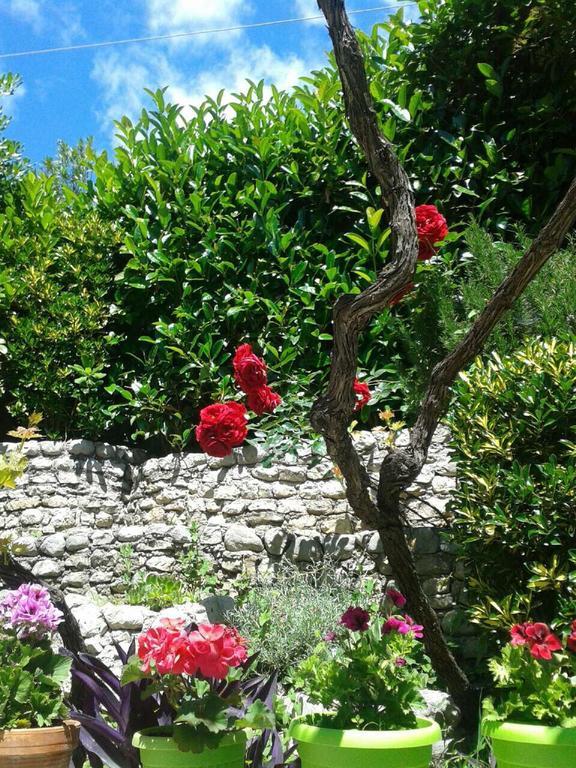 Apartments Milicevic Herceg Novi Dış mekan fotoğraf